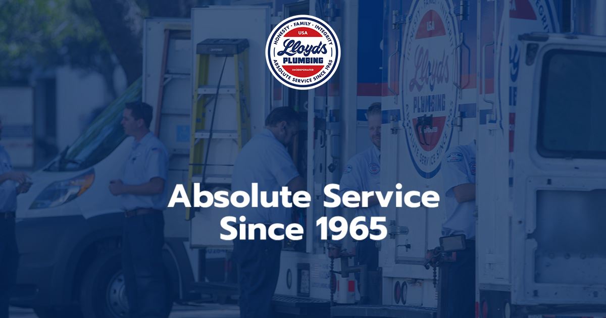 Company Logo and Banner