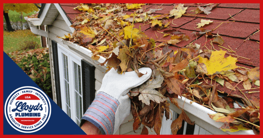 Cleaning Leaves From Gutter